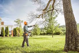 Best Tree Trimming and Pruning  in Summit, MS